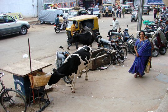 Tour image 5